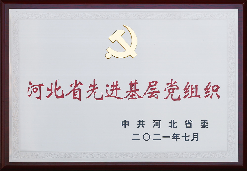 2021年_河北省委先進(jìn)基層黨組織